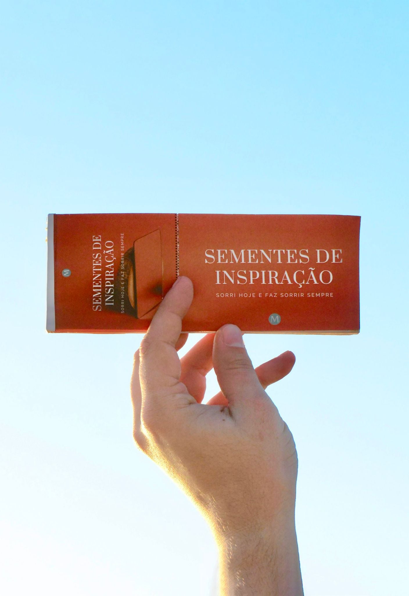 Livro - Sementes de inspiração